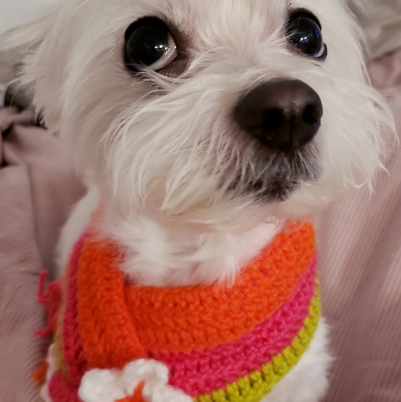 Meet your Posher, Maria B - Picture 4 of 4